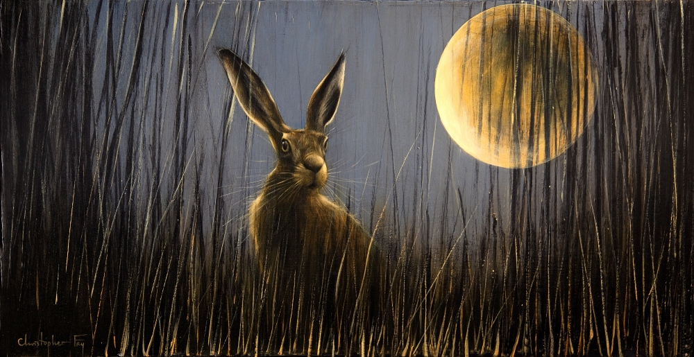 Drawn To The Moon Drawn To The Moon