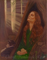 Redwood Transcendence - click to enlarge Redwood Transcendence