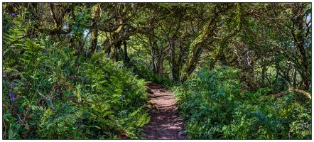 Path to Madron Well