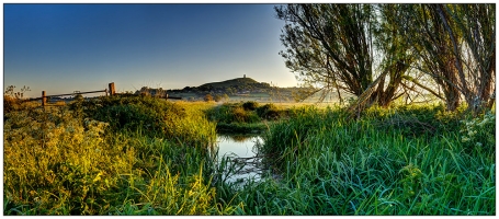 Summer Morning